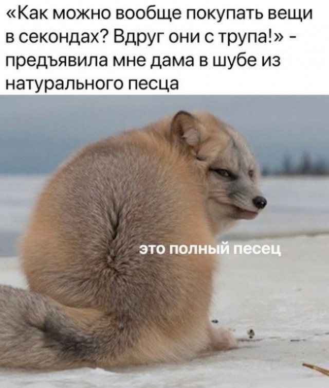 Картинки для деградации 245 (разной степени свежести)