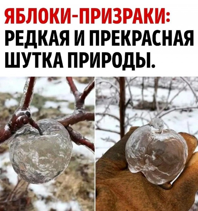 Так себе картинки 13.08.26
