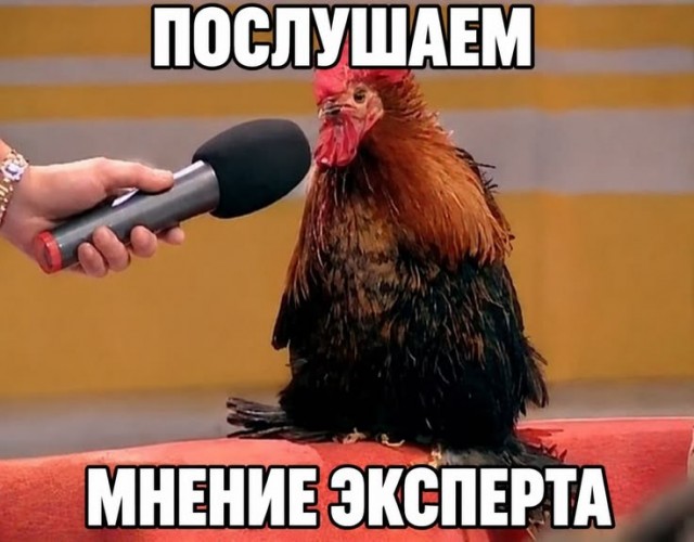 Набившие оскомину комментарии используемые пользователями на «ЯПлакалЪ»