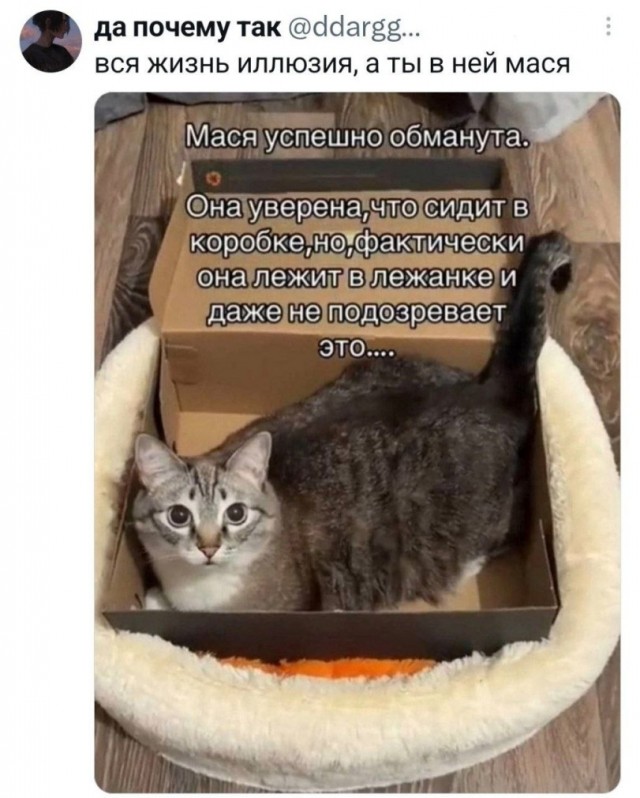 Так себе картинки 25.09.26