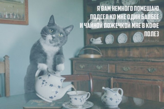 Веселые картинки