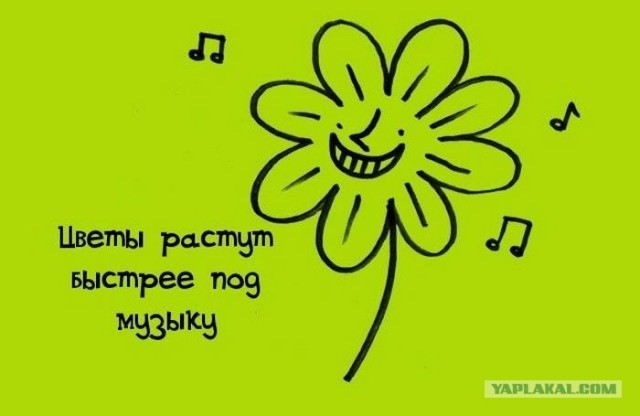 Занимательные факты в картинках
