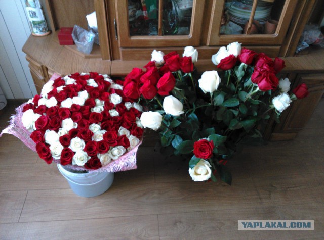 Последнее фото с Вашего телефона.