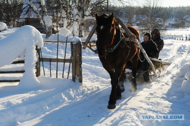 Моя зимняя деревня