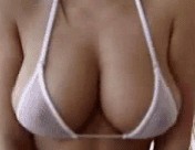 Веб-камеры на избирательных участках