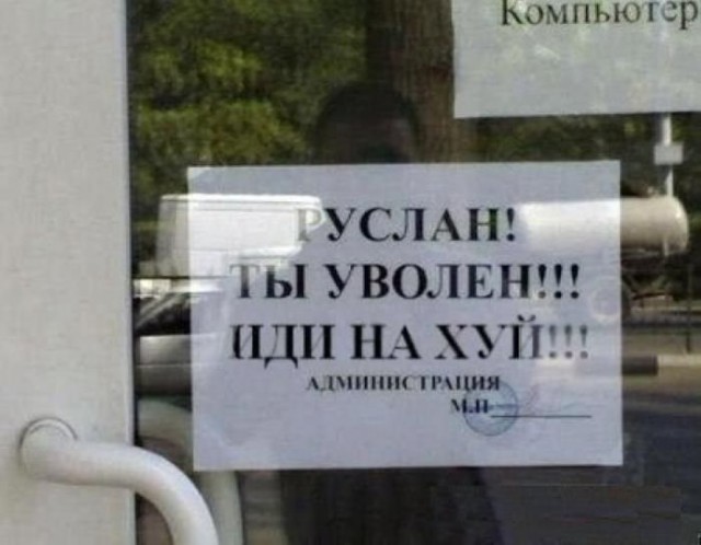 Забавные картинки из сети