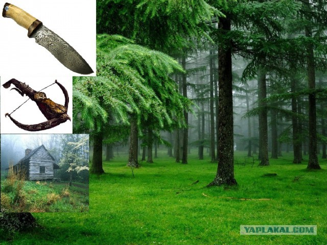 Для фанатов Короля и Шута