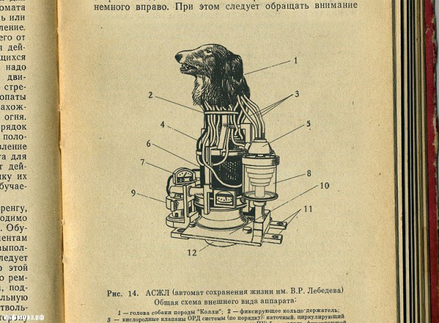 Плюшкиным посвящается
