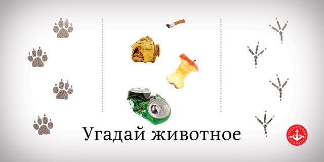 Его покрасили в фиолетовый и бросили собакам
