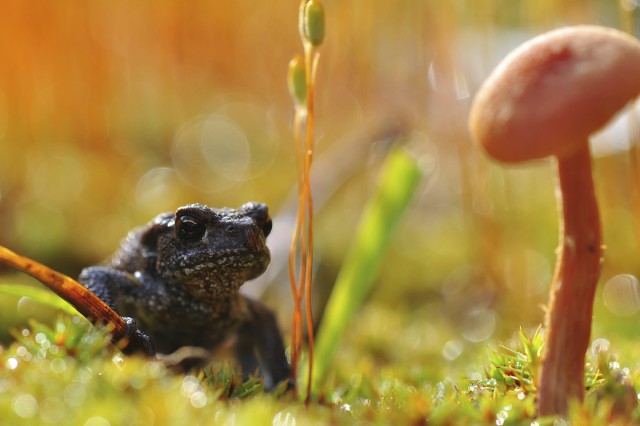 Моменты, запечатлённые на фото и просто позитив 2