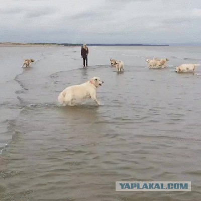 Не сцыте пацаны, водичка норм!