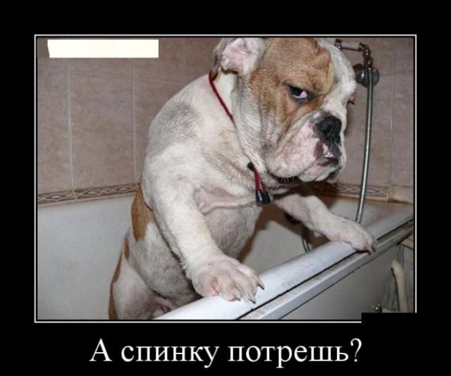 Подборка прикольных фото