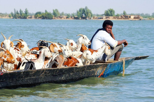 Подборка любопытных фотографий со всего света