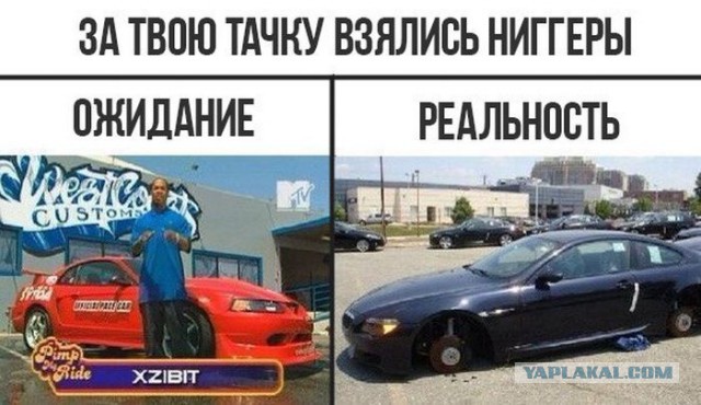 Подборка любопытных фотографий со всего света