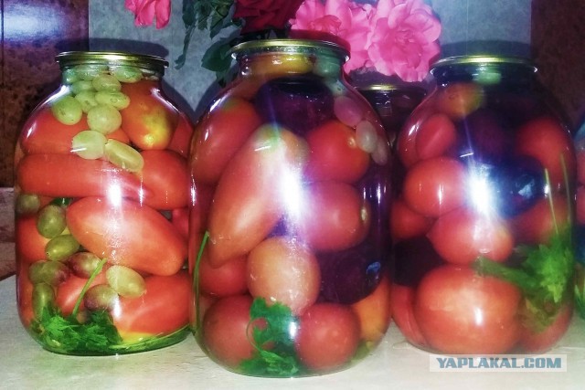 Зимние заготовки