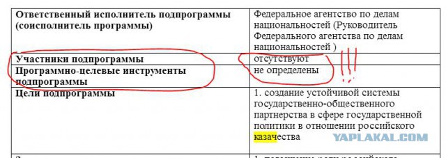 Правительство предлагает потратить на развитие казачества 765 млн рублей