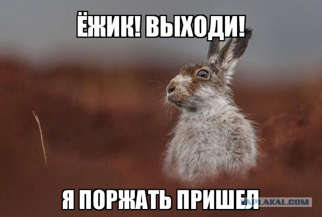 Лёгкой наркомании и тупости пост