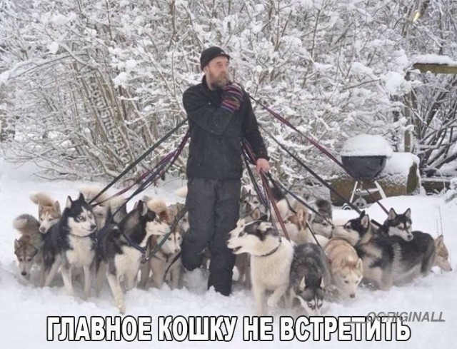 Упоротая пятиминутка