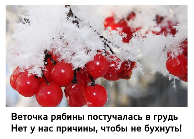 Всяко-разно из сети