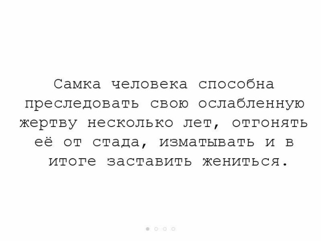 Приколы в стиле "регресс"