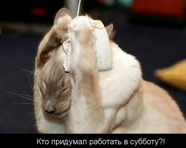 Суббота - рабский день!