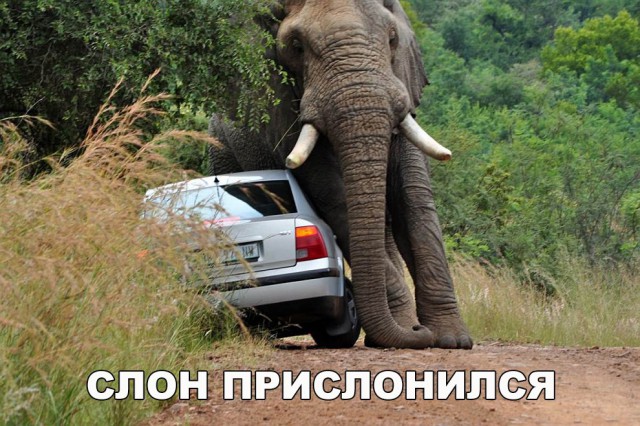 Нестандартный юмор