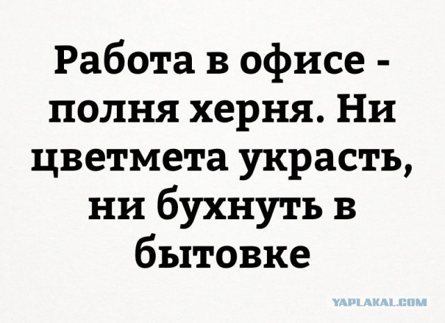 Откуда у людей столько свободного времени и на что они живут?