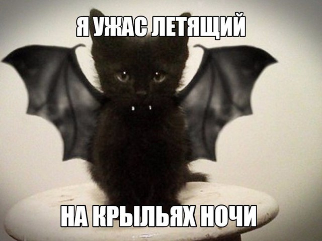 Кот-Дракула