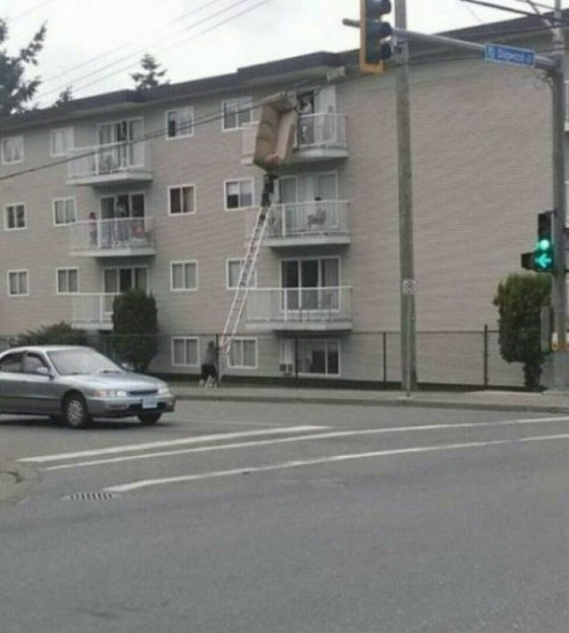 Лента прикольных картинок