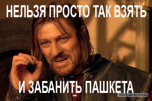 Пашкет, демотиваторы и мемы