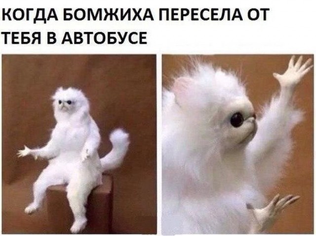 Немного картинок в это воскресенье