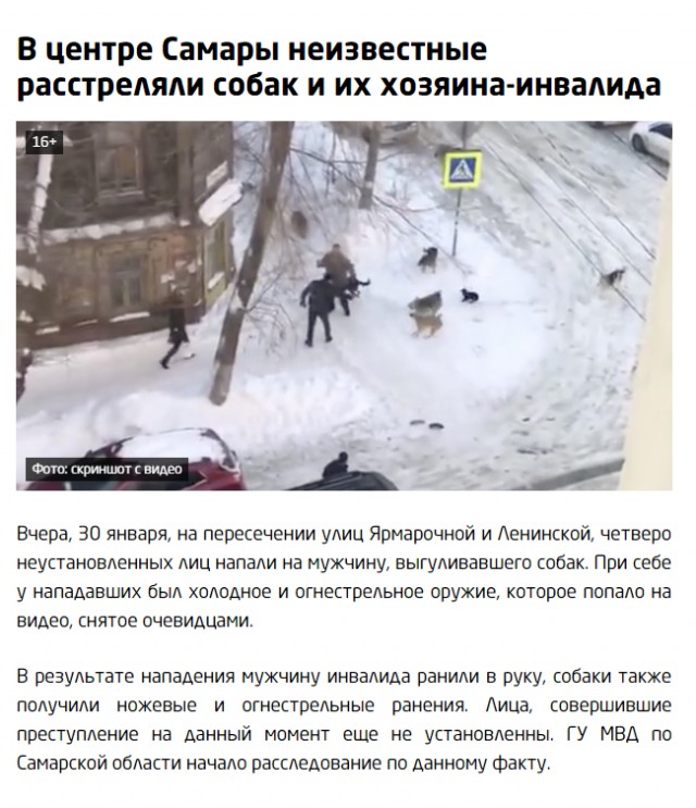 В Самаре стая бродячих собак напала на девушку, это увидели парни на машине и решили не проезжать мимо
