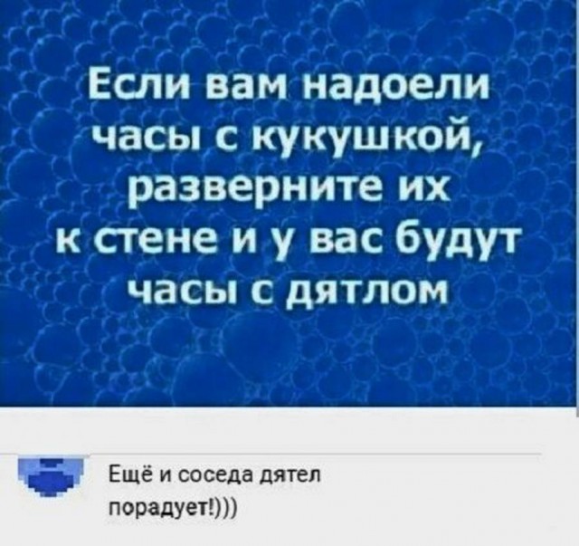 Анекдоты, соц-сети и картинки с надписями