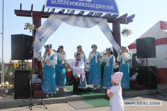 Побывали  c  сыном на выставке БЕЛАГРО