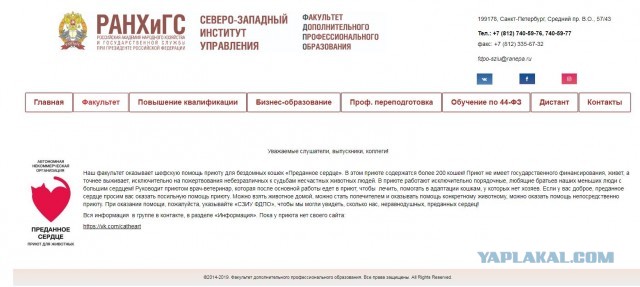 Помогите вернуть кота! Приют "Преданное сердце" украл кота и не отдает!-2
