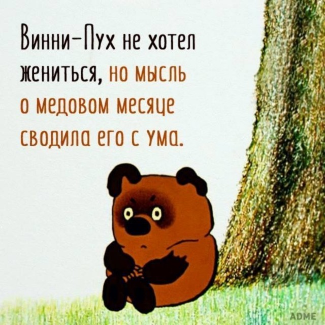 Картинки, чтоб улыбнуло 19.11.19