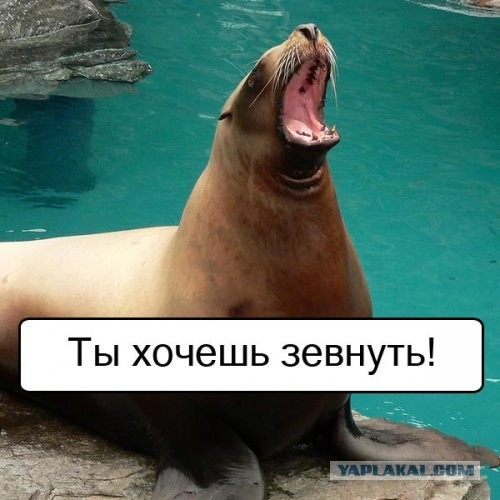 Спорим, зевнешь?))) (28 фото)