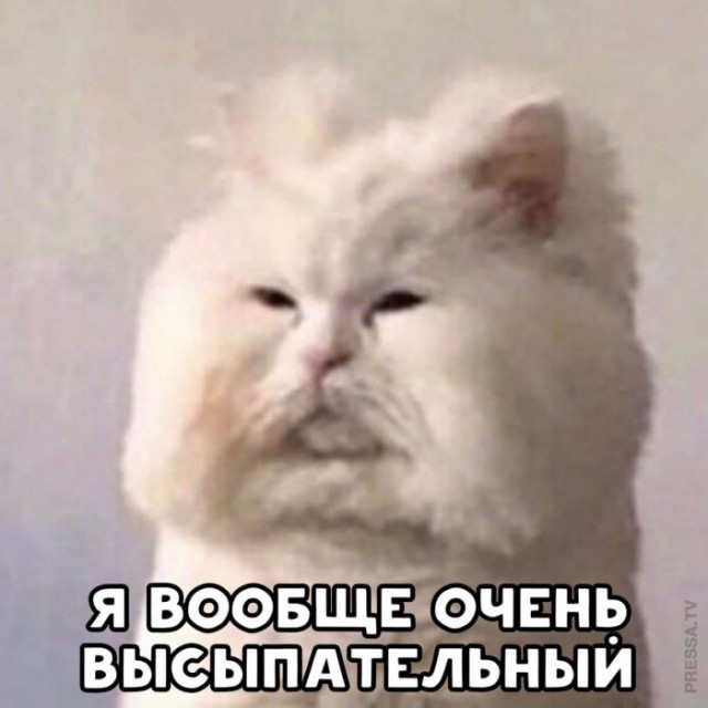 Картинки и мемы для настроения 001