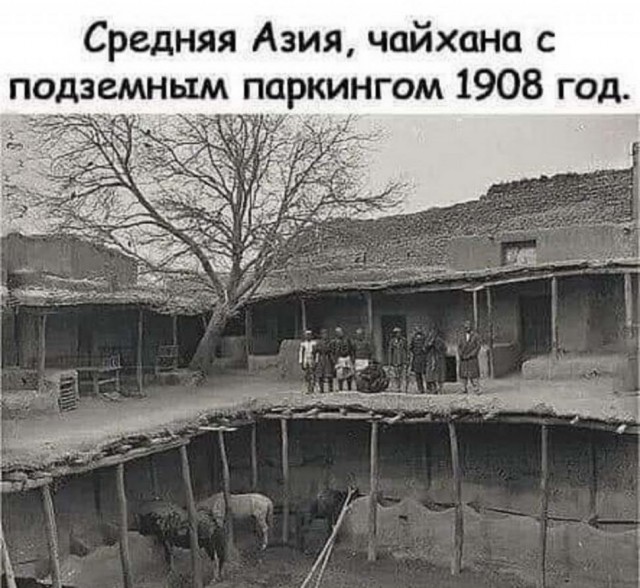 Картинки и мемы для настроения 008