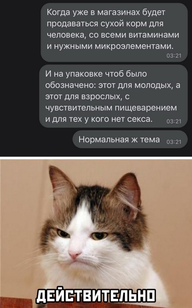 Картинки и мемы для настроения 011