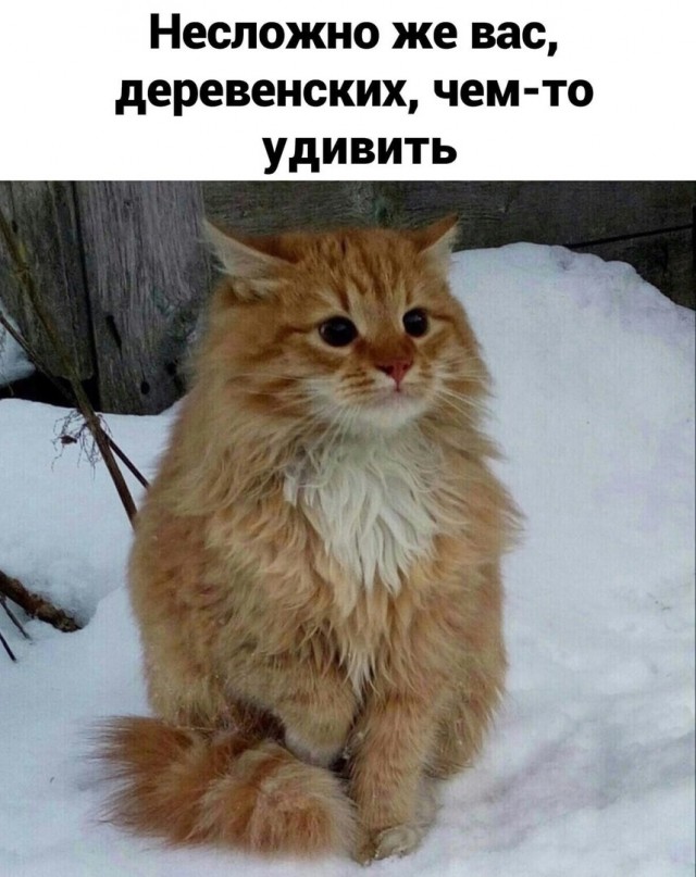 Деревенский vs городской