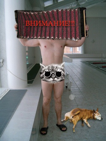 Победительницей "Х-фактор 3" стала Аида Николайчук