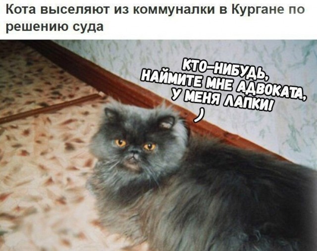 Так себе картинки 23.05.21