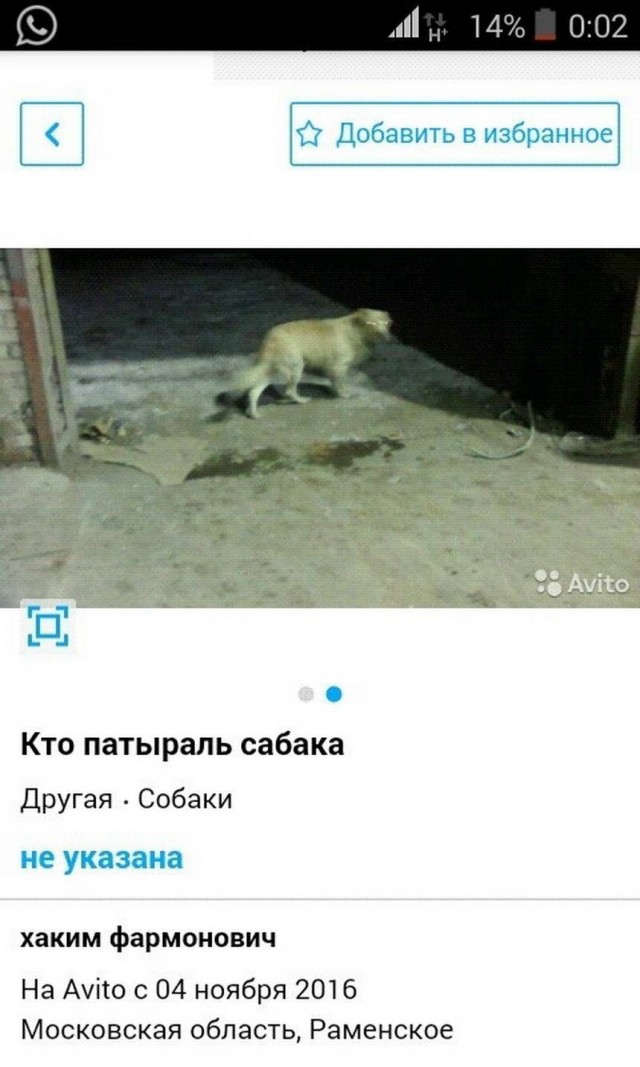 Чудики с Авито