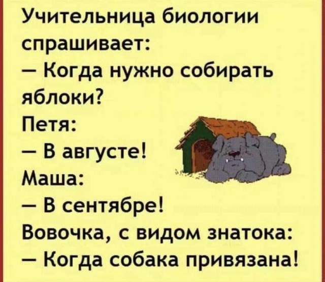Прикольные и просто красивые картинки 25.08.2021