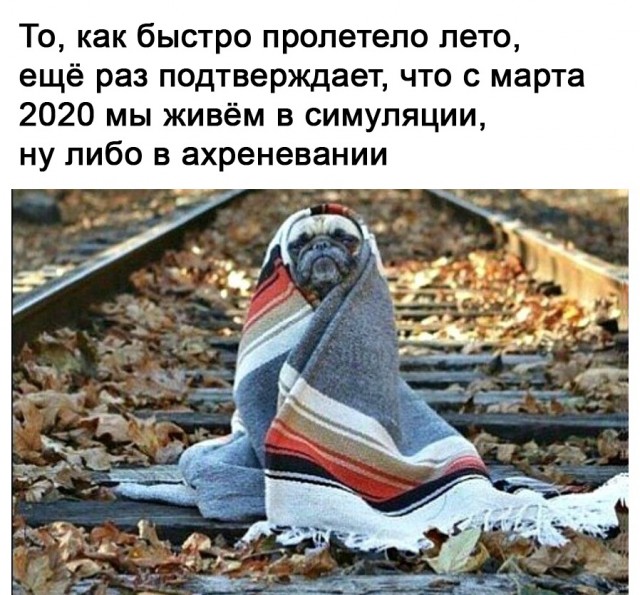 Так себе картинки 01.09.21
