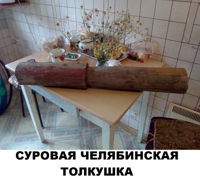 Скотсети и прочие интернеты 03.09.21