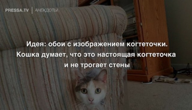 Картинки и мемы для настроения 08.09.2021