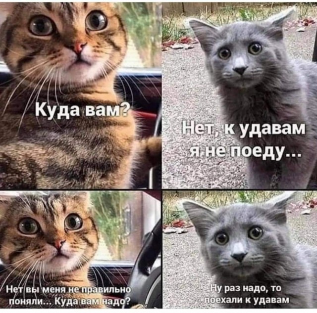 Немного картинок разной степени новизны и адекватности - 11