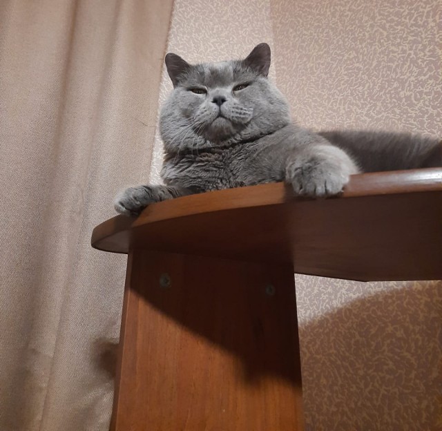 А что, уже вторник?